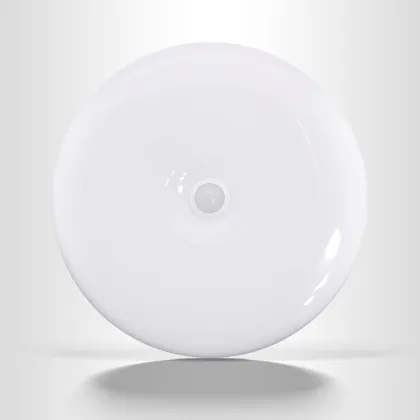 Sound and light control ceiling lamp