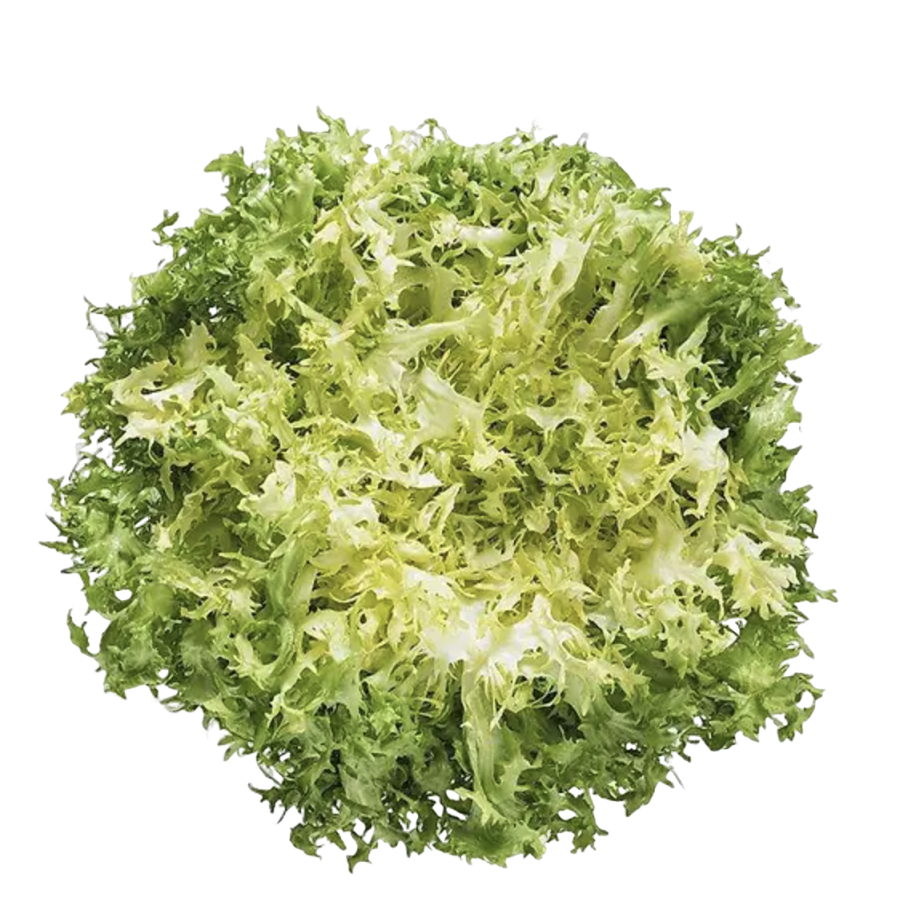 Chicory Extract Powder Supplier