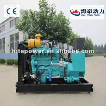 Reliable performances natural gas powered generators