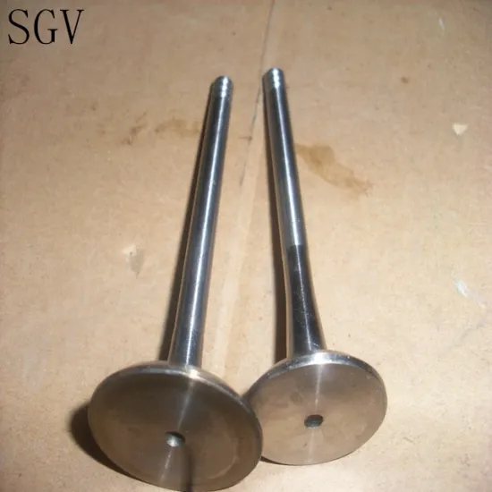 Engine Valves for Toyota 2L, 3L, 5L, 1KZ, 1KD, 2KD, 1HZ, 14B, 22R