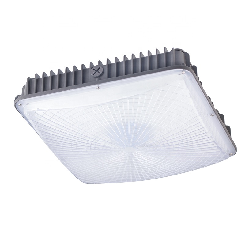 led canopy fixture