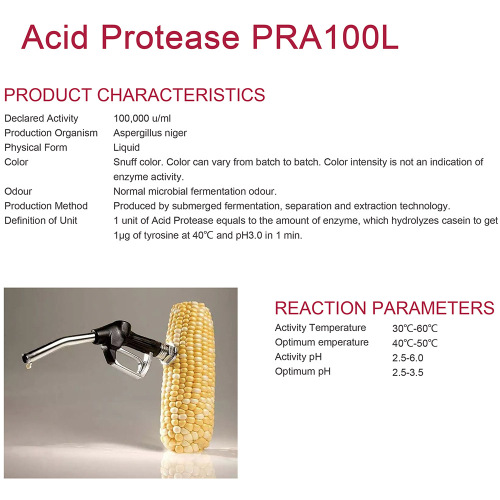 Zure protease voor alcoholfermentatie