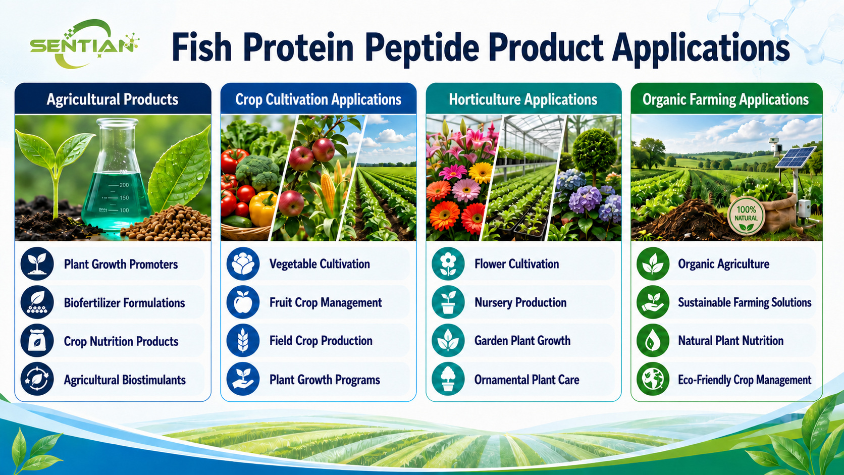 Fish-Protein-Peptide-Product-Applications-Wit