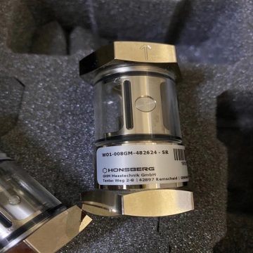 HONSBERG W01-008GM WO1 Series Flow Indicator