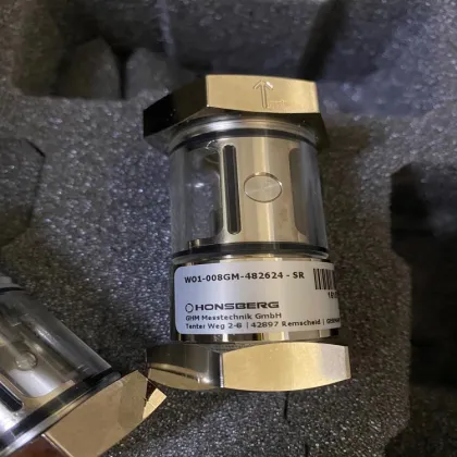 HONSBERG W01-008GM WO1 Series Flow Indicator