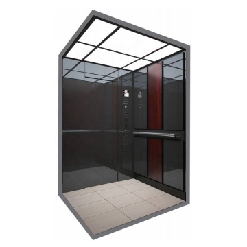 Fuji Tech En-81 Golden Mirror Custom Home Lift