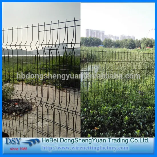 Galvanized and PVC powder coated in wire mesh fence / 3D fence panel