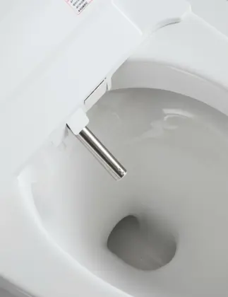 Bathroom Intelligent Toilet Electric Automatic Toilet