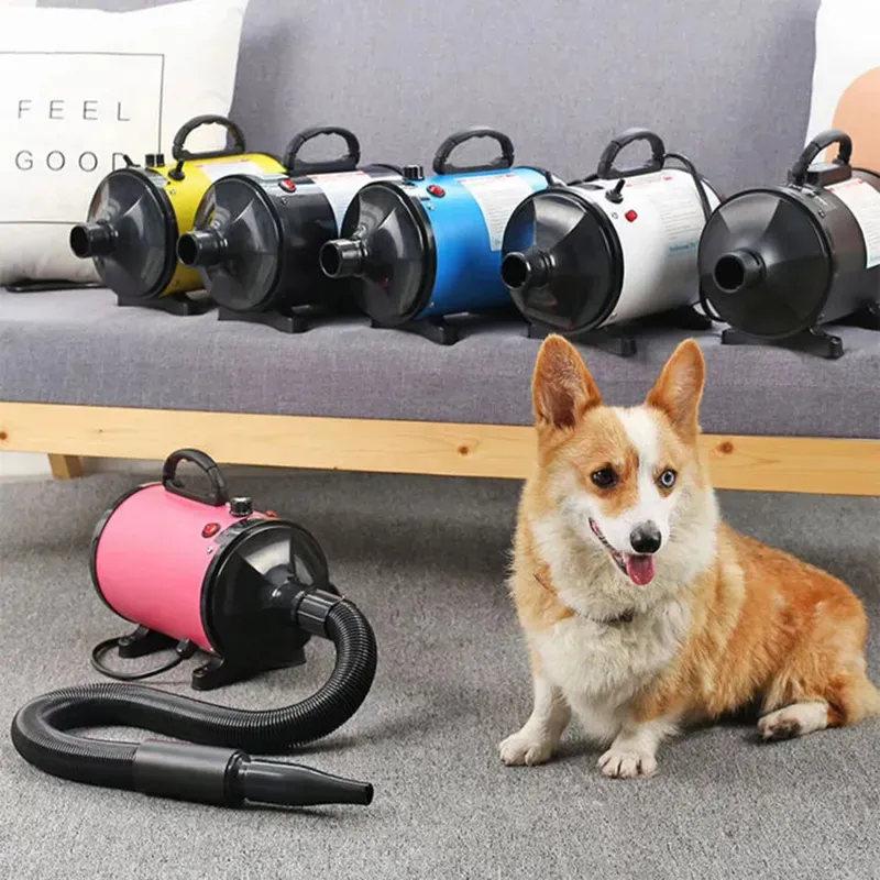 Pet Grooming Blow Dryer and Vacuum Essentials