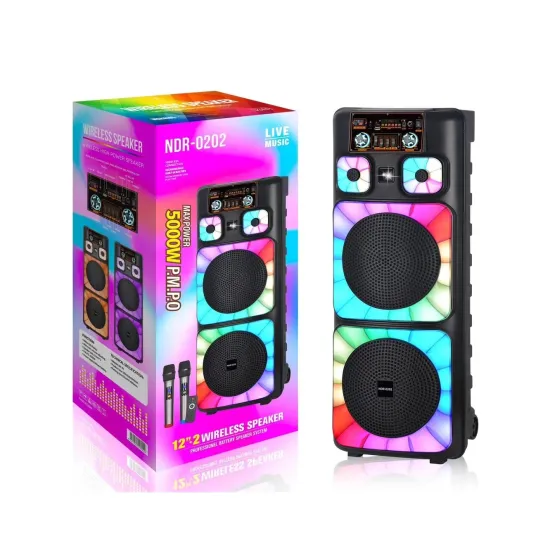 Dual 10 Inch Amplifier Super Bass DJ Speaker with Trolley
