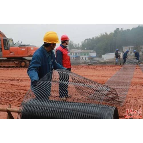 Geogrid de polímero de carretera de más plástico de acero de calidad