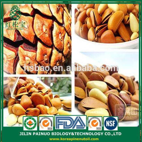 Bulk China Direct Hot Sale Price Open Pine Nuts in Shell