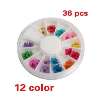 36pcs 12 Color Dried Dry Flower Nail Decoration Acrylic Powder Manicure Tips