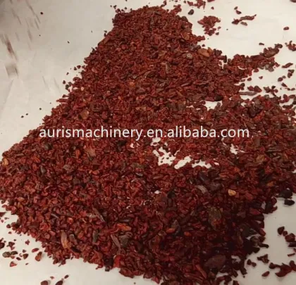 100kg Cocoa Bean Processing Line: Comprehensive Equipment for Cacao Butter and Cocoa Powder Production