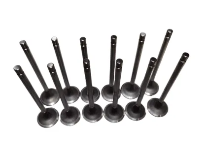 QSL9.3 Cummins Engine intake valves/exhaust valves