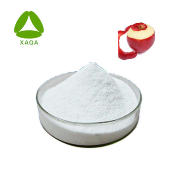 Apple Pear Peel Extract Phloretin Powder 98% 60-82-2