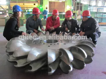 Shenyang Getai Mini Hydropower Turbine Pelton Runner