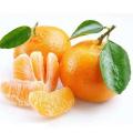 Juicy fruit sweet baby mandarin