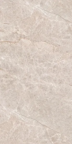 Porcelain Natural Stone effect Floor Tiles
