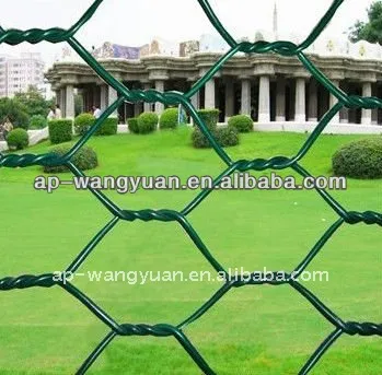 Green Hexagonal Wire Mesh