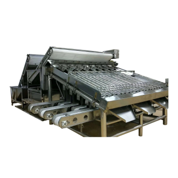 Stainless Steel Shrimp Peeling Machine with 12 Rollers Prawn Grader