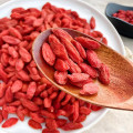 توت غوجي العضوي المجفف