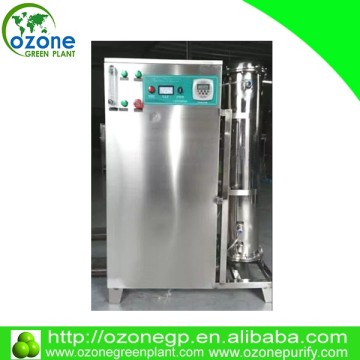 20/200g ozone vegetable fruit disinfect machine
