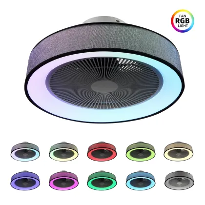 SLYNN Modern Designer Luxury Ceiling Fan Light with Remote Control