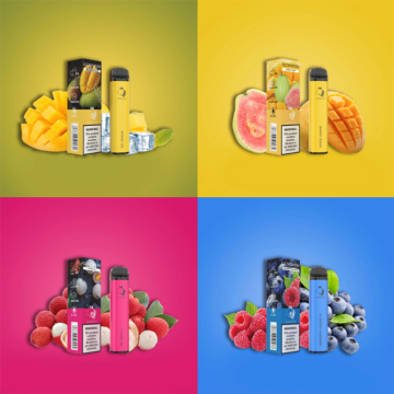 Fruit Flavors Gunnpod Vape Disposable E Cigarette