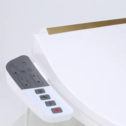 Intelligent Bidet Seat for Bathroom Automation