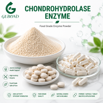 مسحوق إنزيم Chondrohydrolase لتطبيقات معالجة الببتيد الغضروف والبروتين