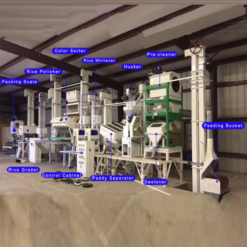 Commercial Steam Rubber Roller Rice Milling Plant with Grading, 30-40T Capacity, Philippines
