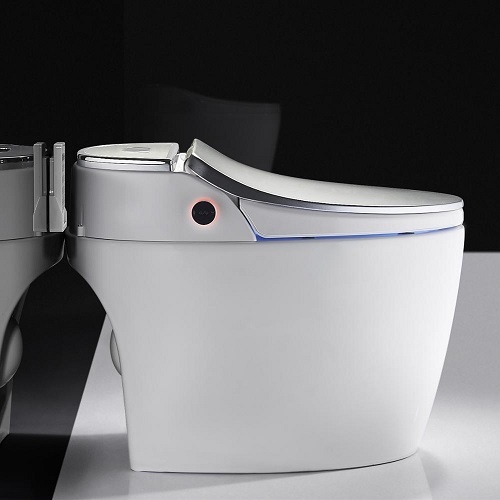 swimming pool and spa One Piecet Sliver Color P-trap Smart Toilet Supplier