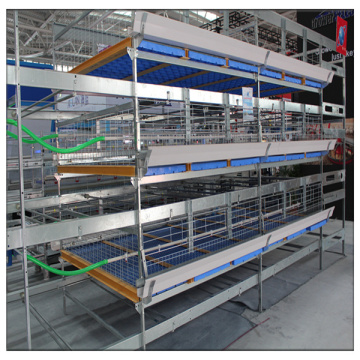 Chicken Poultry Farm Equipment H Type Galvanized Bird Cage for Broilers