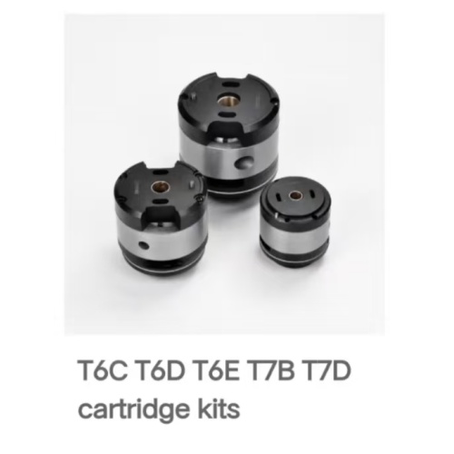 Kits de cartuchos de bomba de paletas T6C T6D T6E T7B