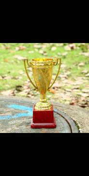 Metal trophy