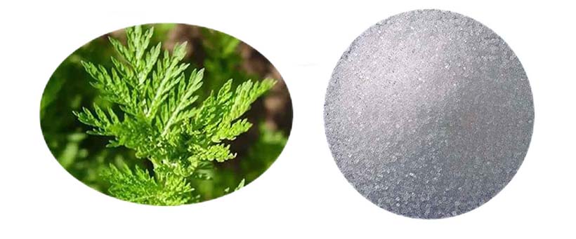 Artemisinin Extract