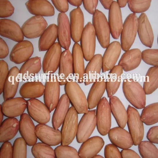 hot sale peanut kernels in EU and South Africa--low price peanut