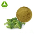 Poudre d'extrait de graines de brocoli 10:1 sulforaphane glucoraphanine