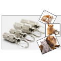 Prevent lost Pet ID Tag