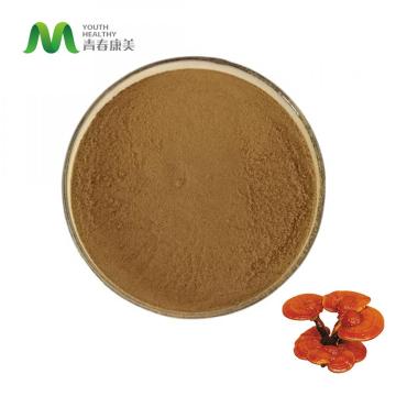 Reishi gombák/ Ganoderma Lucidum kivonat