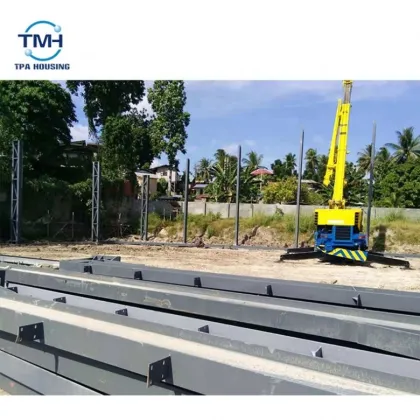 Latest Stylish Painting Light Steel House Design