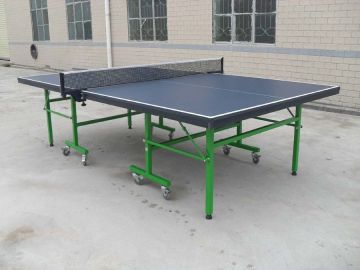 Folded Table Tennis Table (TE-201)