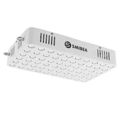 Physical Therapy Lamp With Customized Spectrum For Health