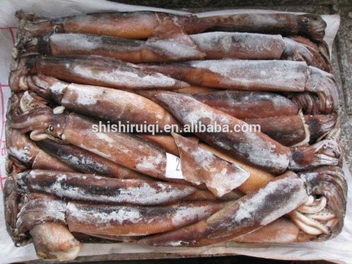 2016 delicious fresh seafood illex squid 200g-300g for market