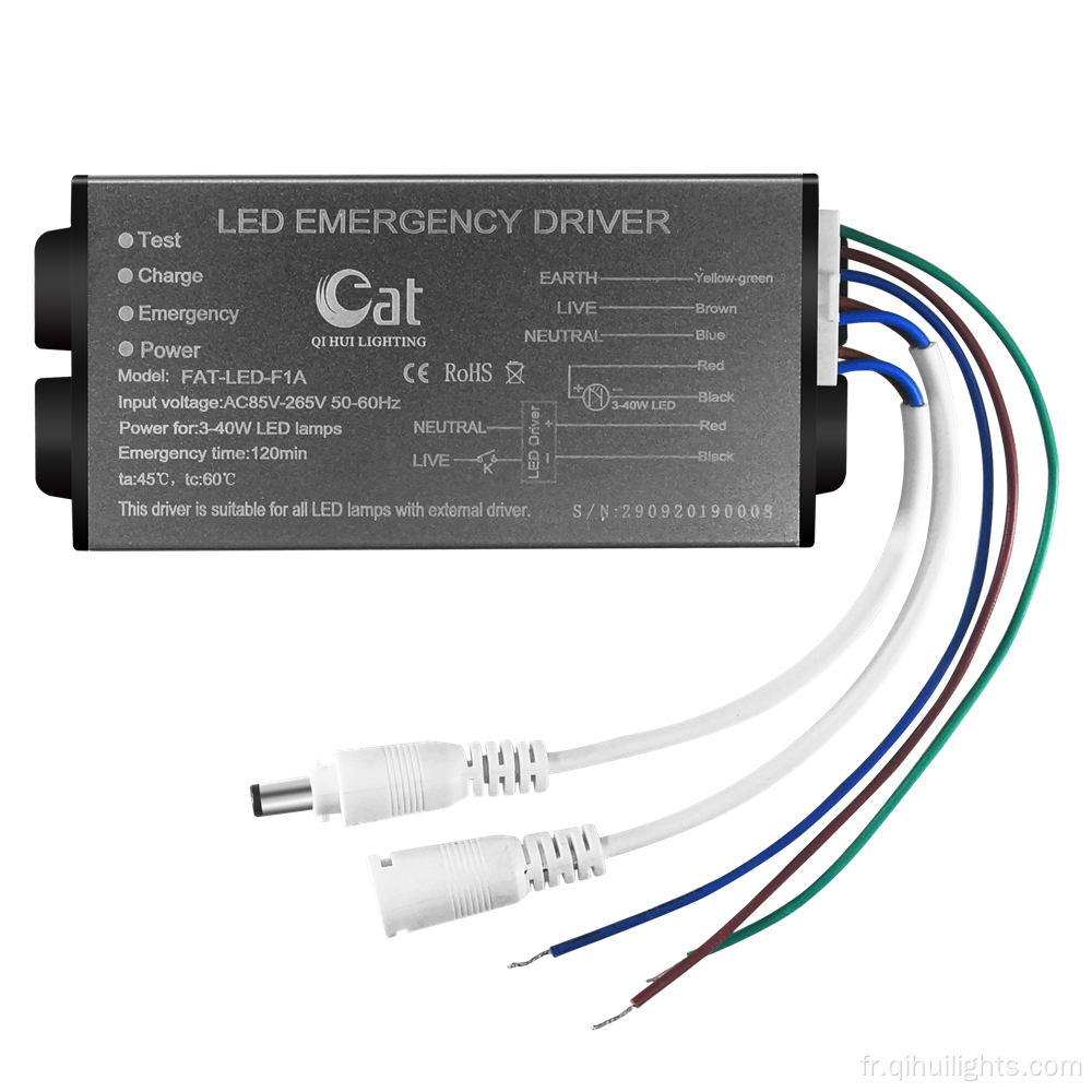 Conducteur d'urgence LED universel