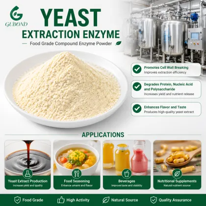 Yeast Extraction Enzyme for Yeast Extract Production