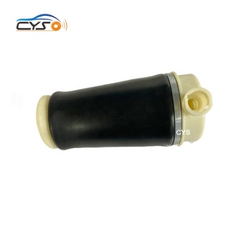 Rear Air Bellow Suspension 3U2Z-5580-KA 1L1Z5319AA for Lincoln Navigator Ford Expedition 2WD