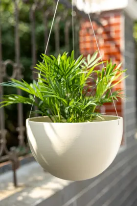 Decorative Hanging Basket Planter