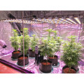 Dual Spectrum LED Grow Light para plantas de cultivo